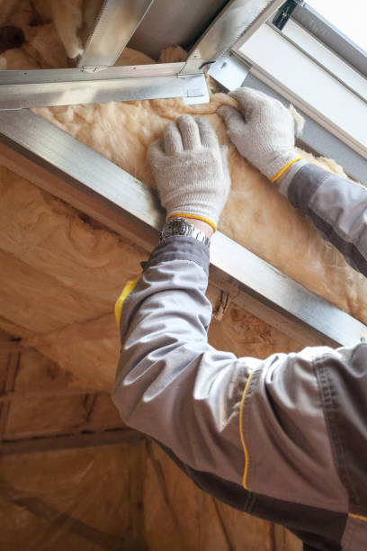 Best Commercial Insulation in Donna, TX