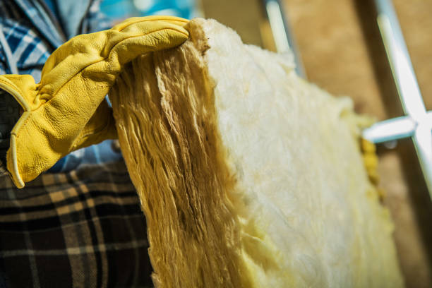 Best Insulation Maintenance and Repair in Donna, TX