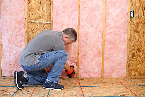 Best Insulation for Specific Applications in Donna, TX