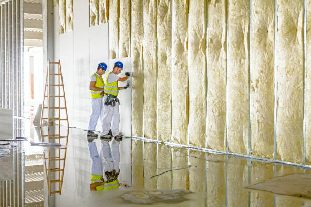 Best Insulation Maintenance and Repair in Donna, TX